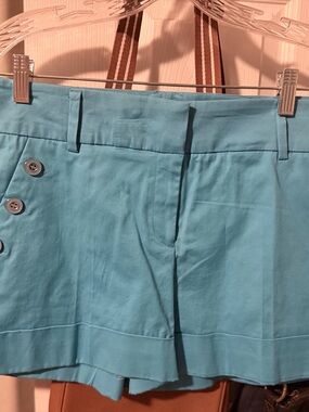 Women’s Light Blue Casual Cotton Blend shorts